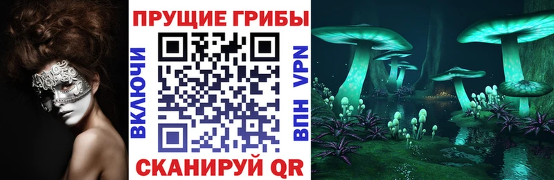 Купить  Нижний Тагил  Псилоцибиновые грибы ЛСД 